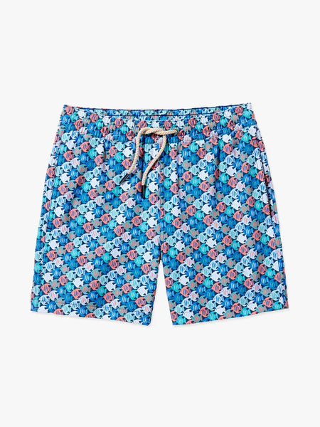 Kids Bayberry Trunk - Lagoon Angelfish