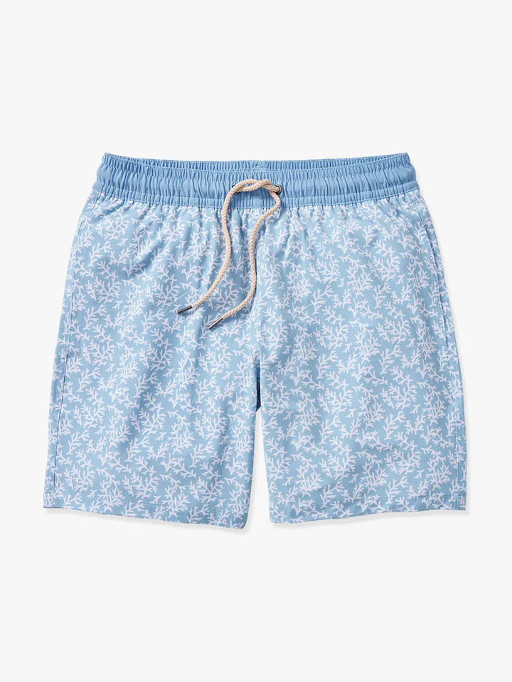Bayberry Trunk - Mist Seaweed