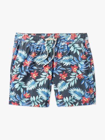 Bungalow Trunk - Midnight Palms