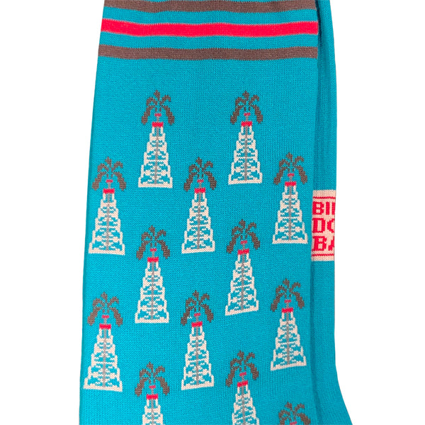 Roughnecks Socks Turquoise